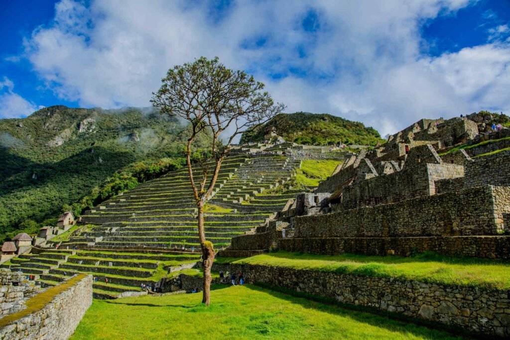 Machu Picchu citadel terraces during Machupicchu full day tour by train