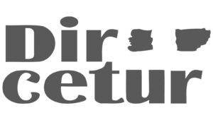 Dircetur